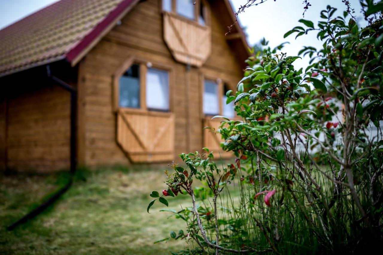 Villa Zastan เมียนซีวอเจีย ภายนอก รูปภาพ