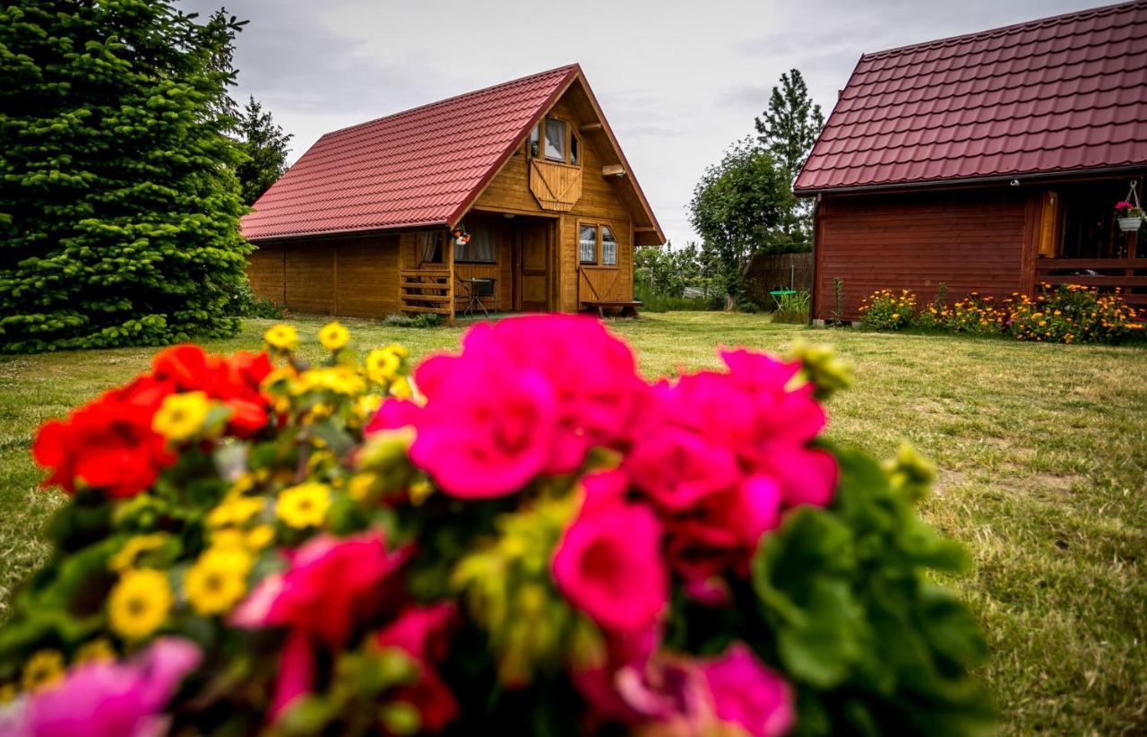 Villa Zastan เมียนซีวอเจีย ภายนอก รูปภาพ
